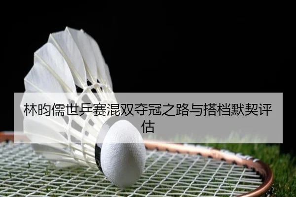 林昀儒世乒赛混双夺冠之路与搭档默契评估